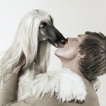 Afgánský chrt (Afghan Hound)
